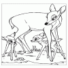 Bambi omalovánky č.48