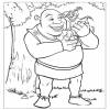 Shrek omalovánky č.1329