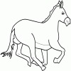 Zoologická zahrada omalovánky č.1853