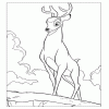 Bambi omalovánky č.31